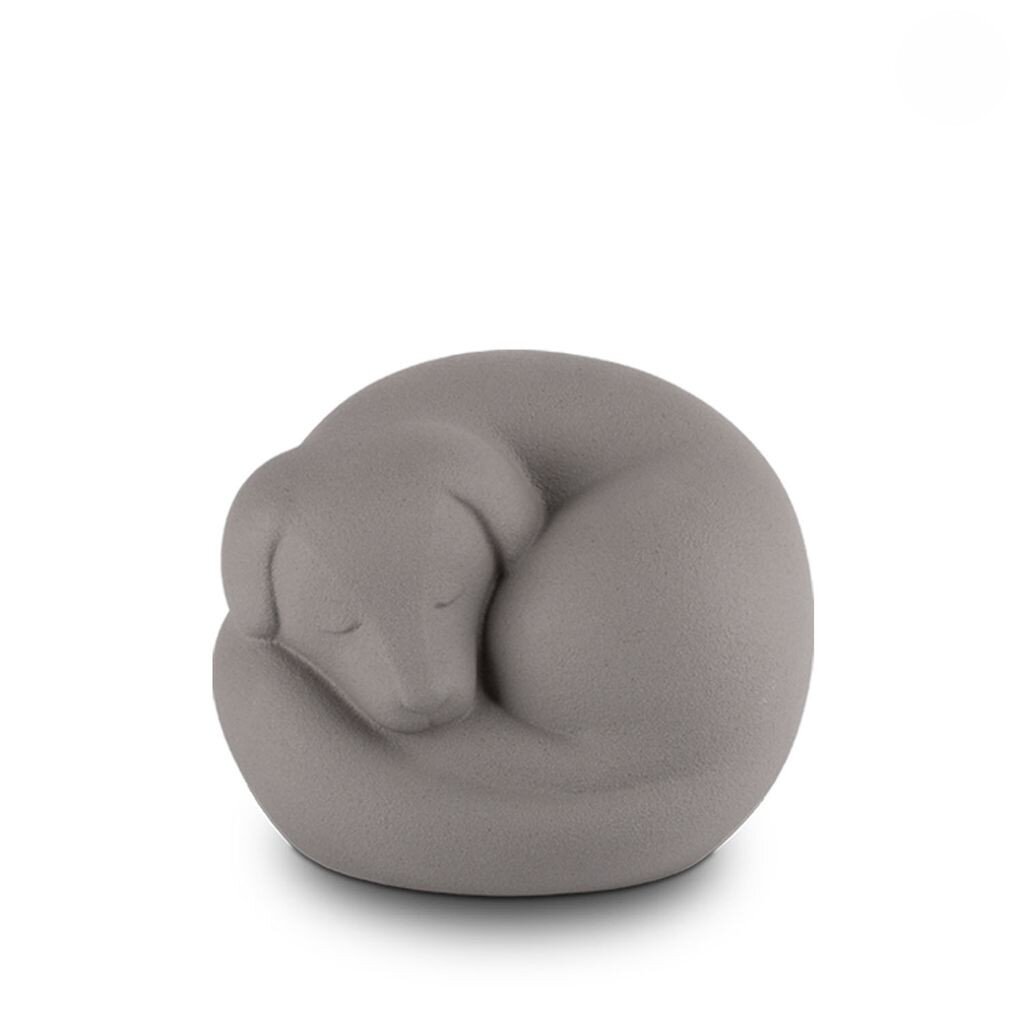 PU221