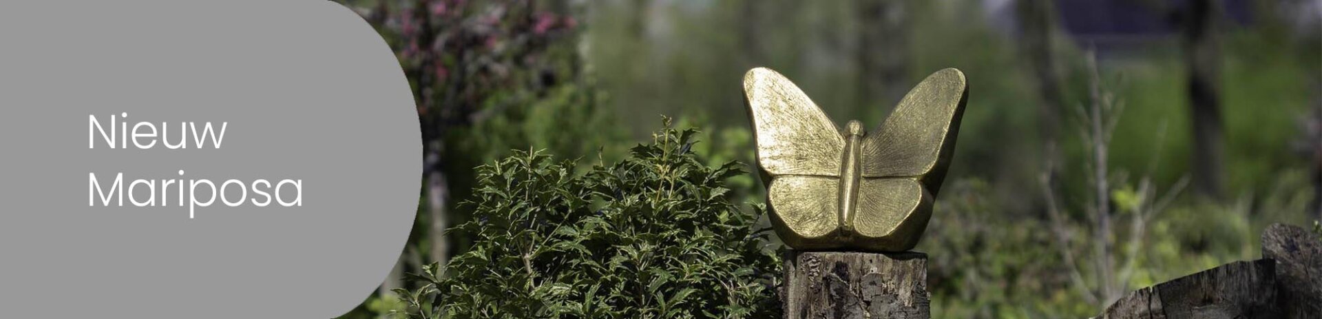 Introductie Mariposa