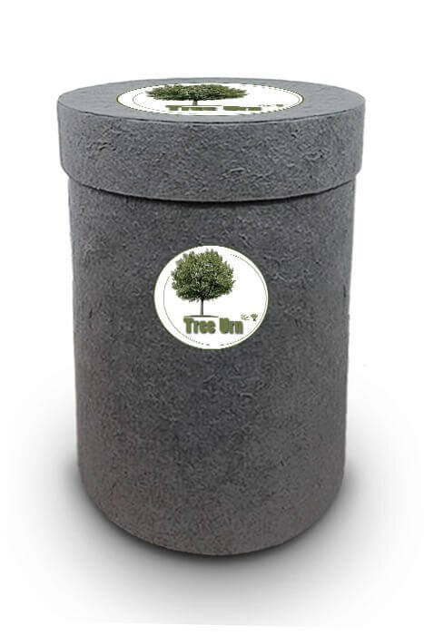 Bio Tree Urn | Beuk