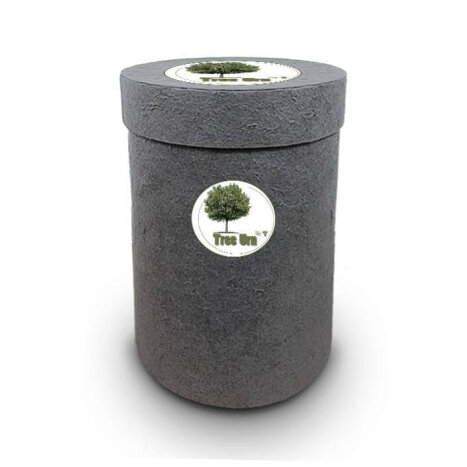 Bio Tree Urn | Esdoorn
