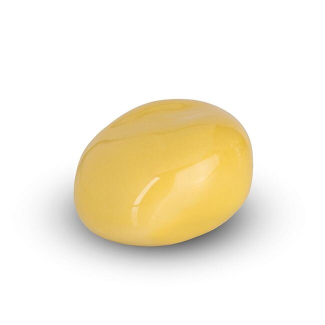 KK019