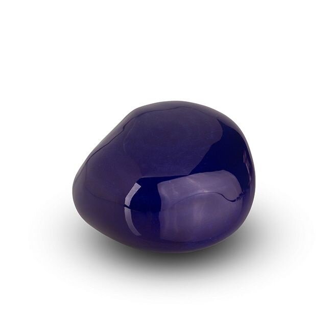 KK009