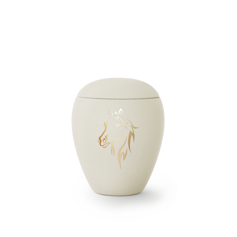 65-1500-800P1