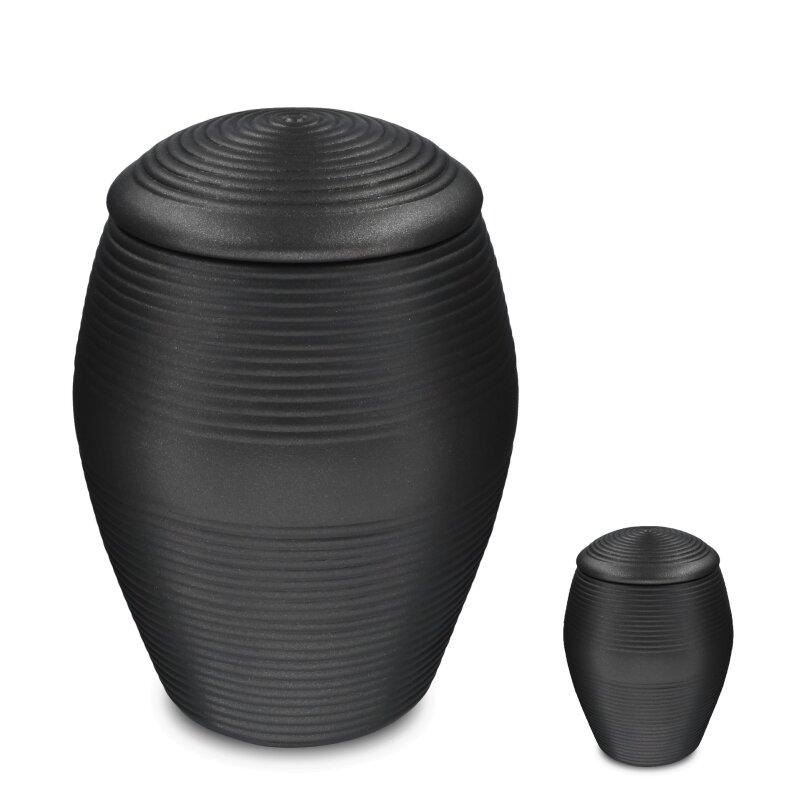 DEBE-204