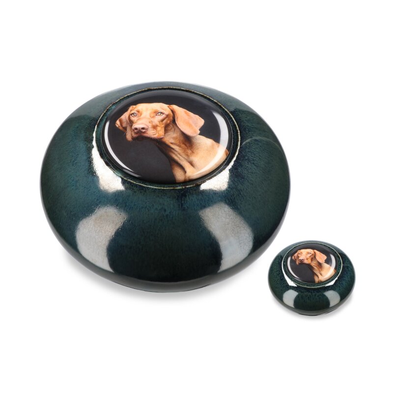 MDL-PER-04