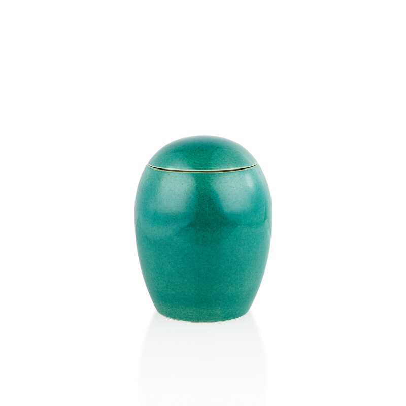 DV020