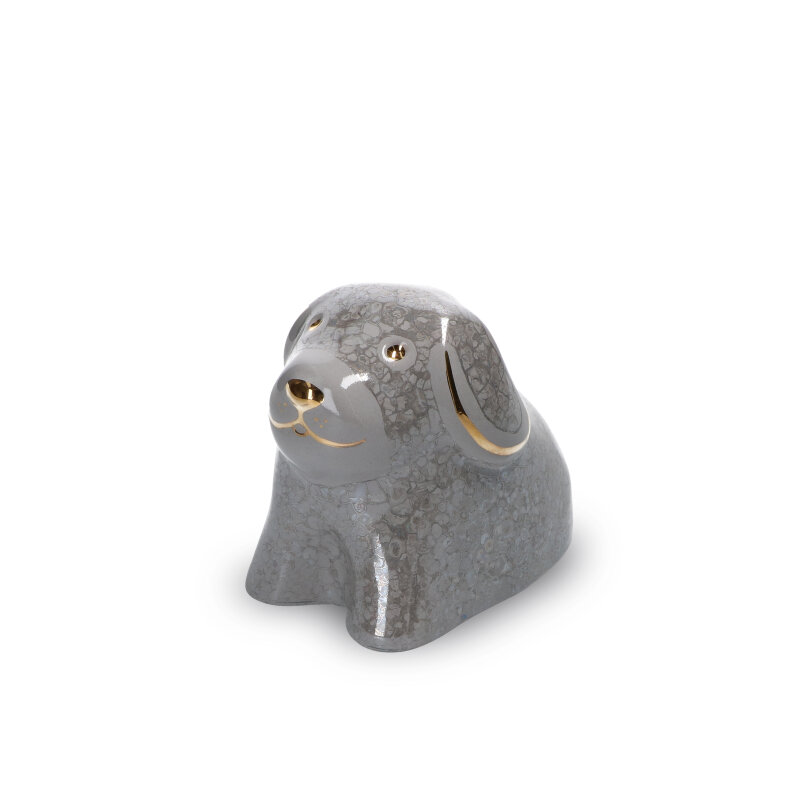 CANE GREY