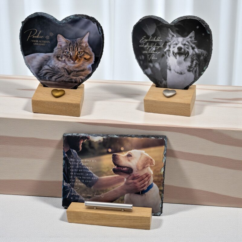 Gedenktegels dieren