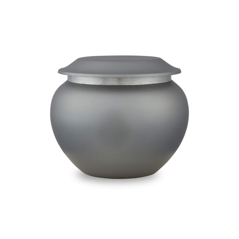 1011 | Grey