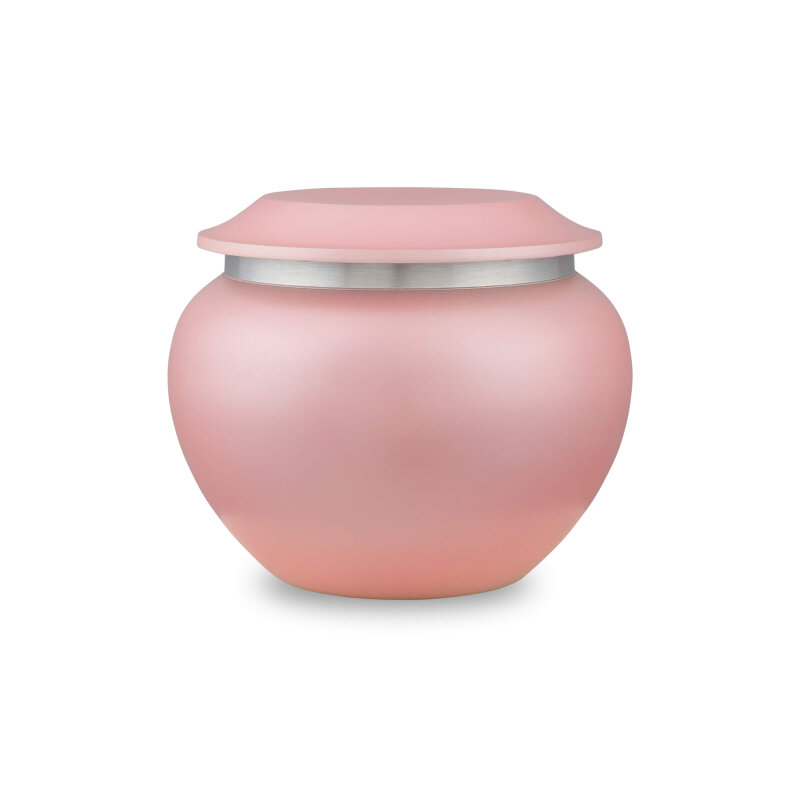 1013 | Pink